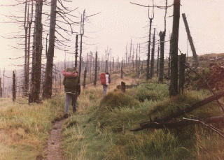 Picture from mountains