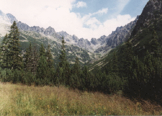 Picture from mountains